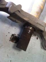 1001684_524604264272226_1316261261_n